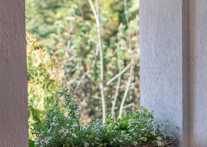 Swiety Spokoj Radkow